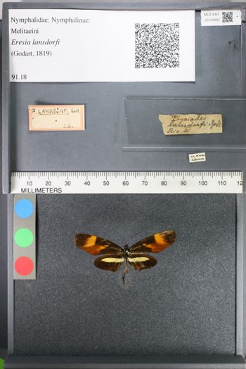 Media type: image;   Entomology 100892